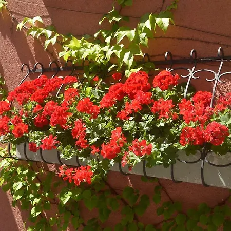 Gastehaus Graupner Guest house 2*