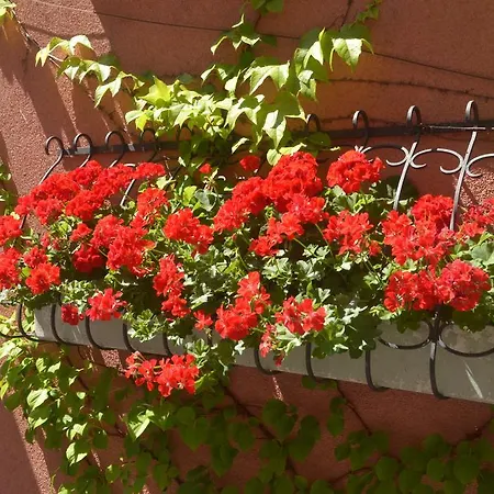 Gastehaus Graupner Penzion 2*